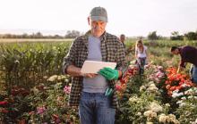 договори за един ден и за повече от един ден