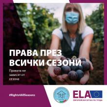 Нидерландия, права, кампания