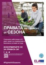 кампания, "Права през всички сезони", информационни дни